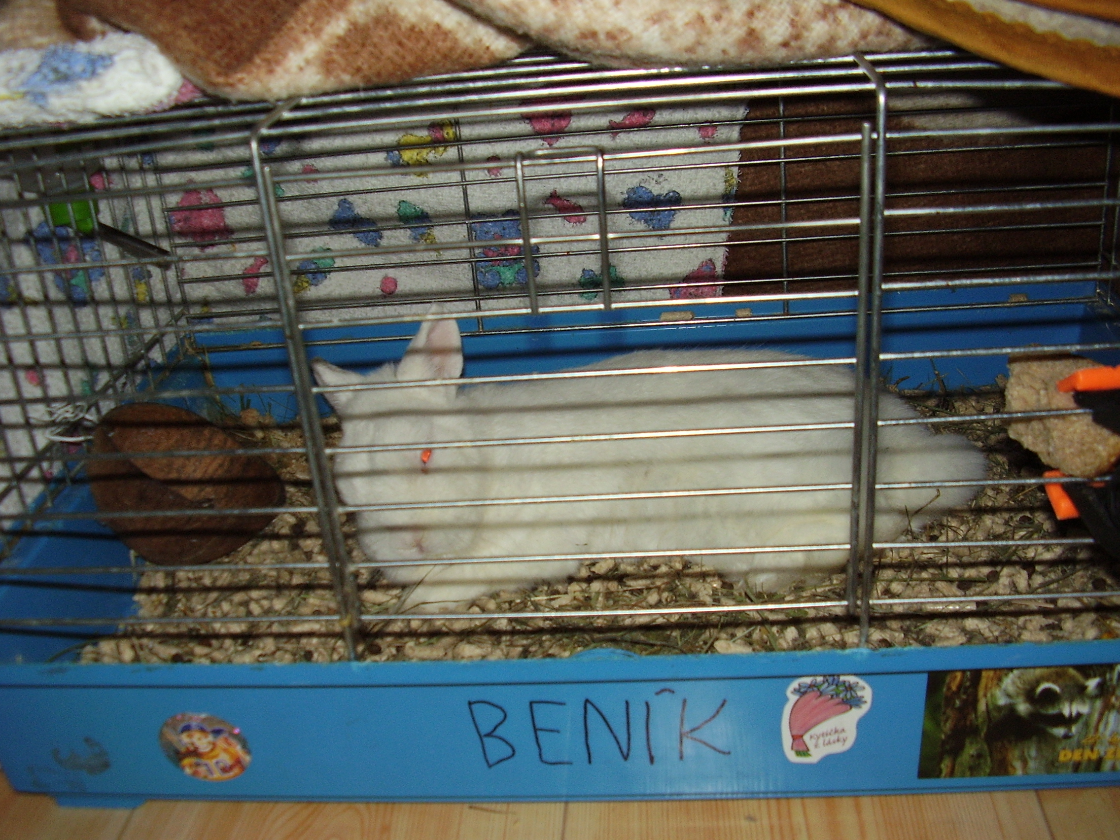 7.3.2009 015.jpg