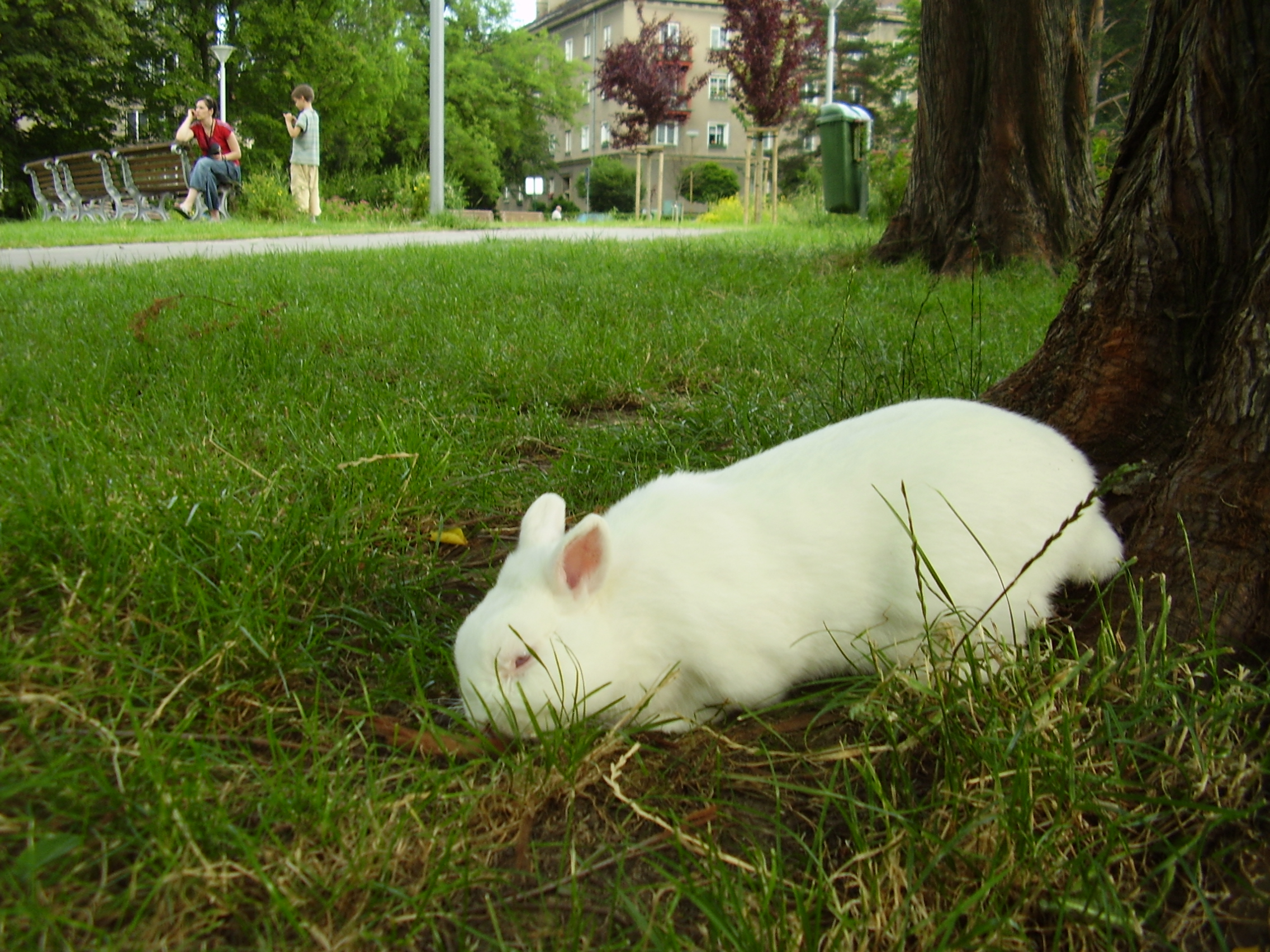 P1150009.JPG